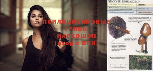 спиды Сафоново