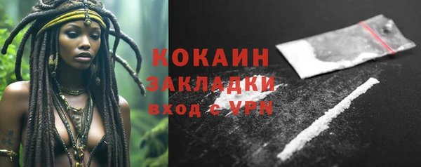 шишки Абаза