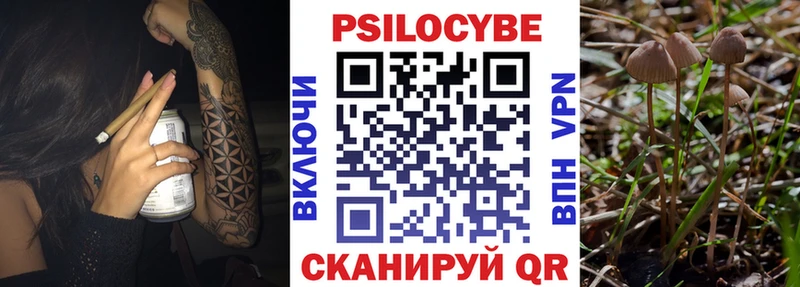 Псилоцибиновые грибы Magic Shrooms Ак-Довурак